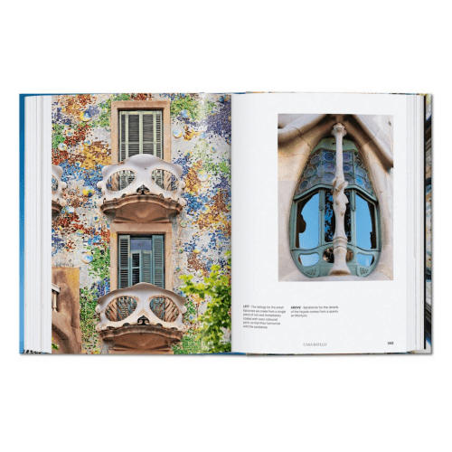Image showing the Gaudi: The Complete Works product.