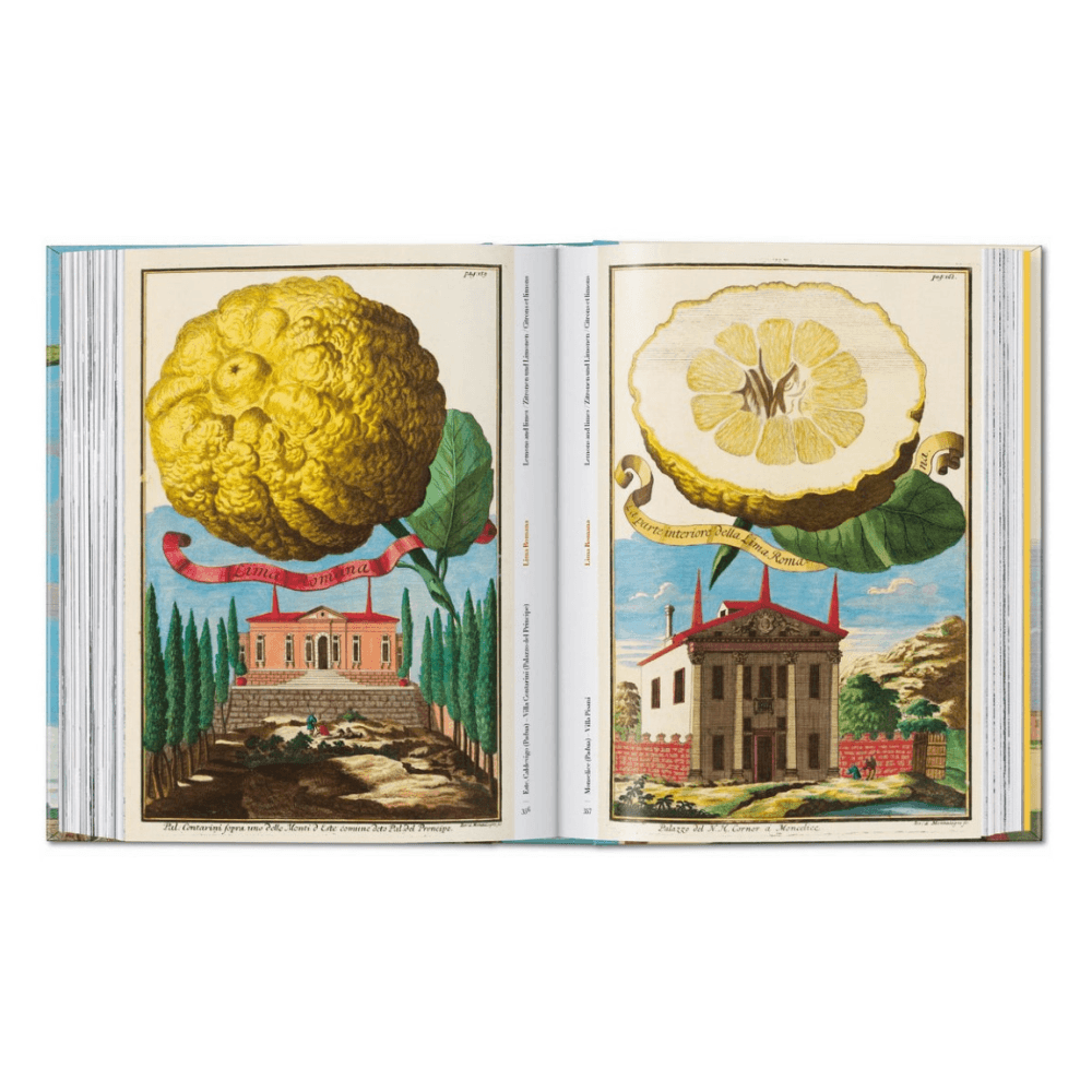 Volkamer: The Book of Citrus Fruits