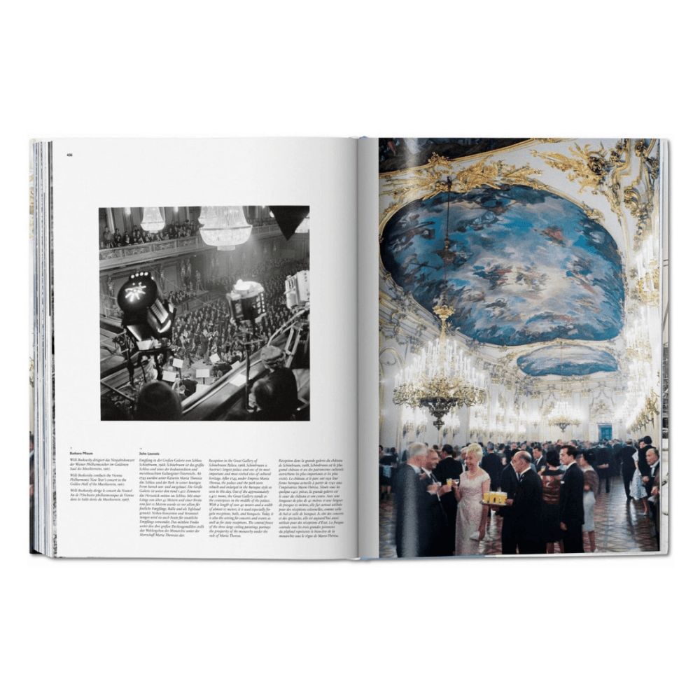 Vienna: Portrait of a City