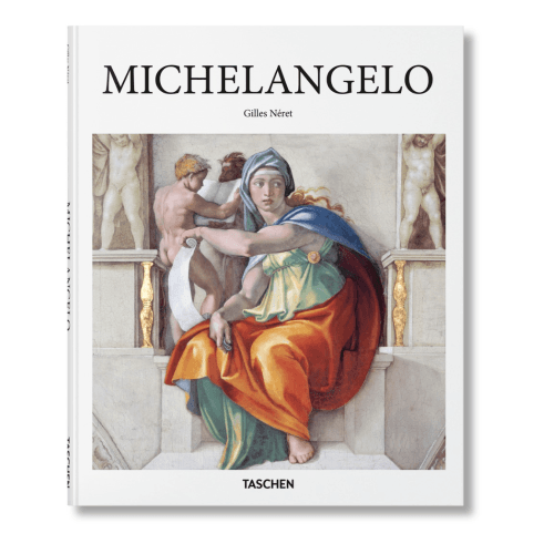 Image showing the Michelangelo product.