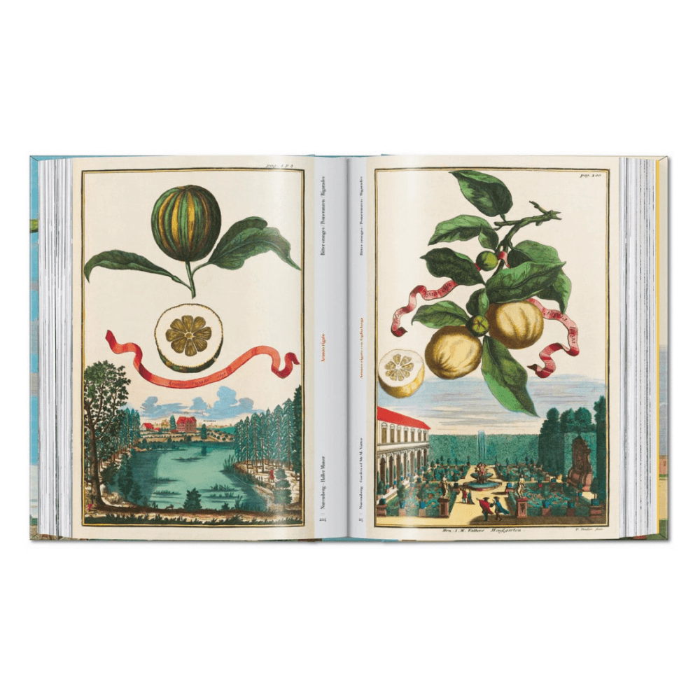 Volkamer: The Book of Citrus Fruits