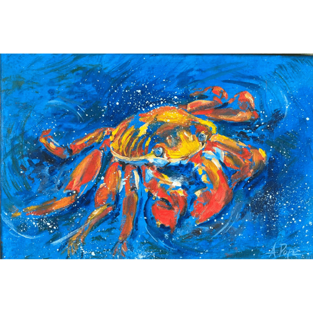 Crab Waters Framed
