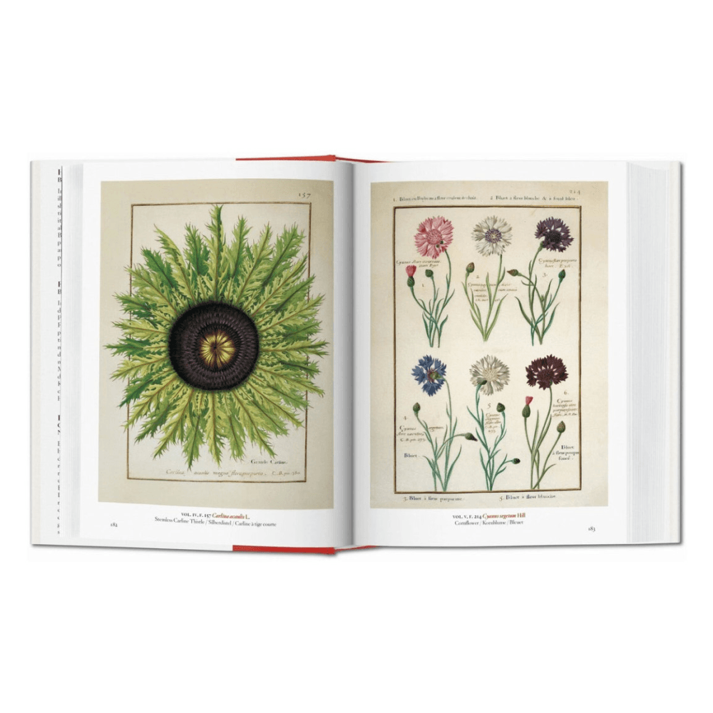 A Garden Eden: Masterpieces of Botanical Illustration