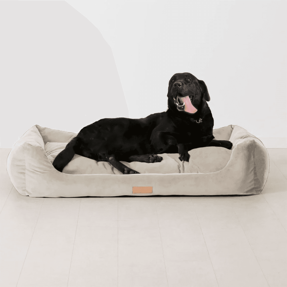 K9-02 Dog Basket