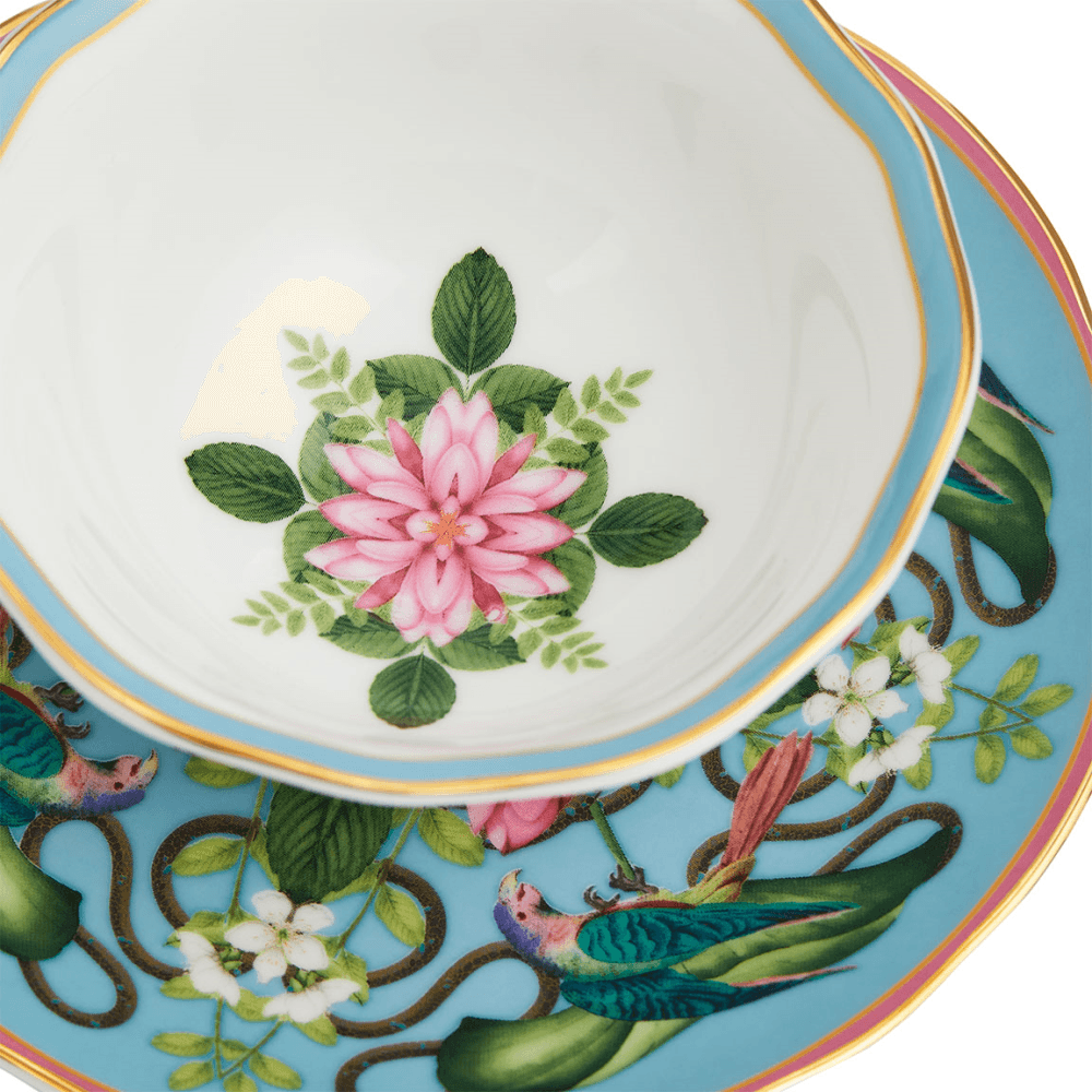 Wonderlust Menagerie Teacup & Saucer, Aqua