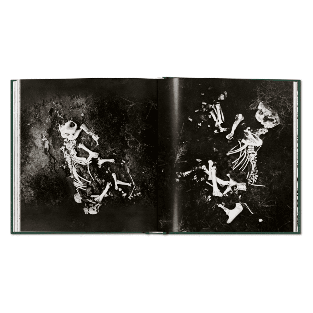Peter Beard: The End of the Game