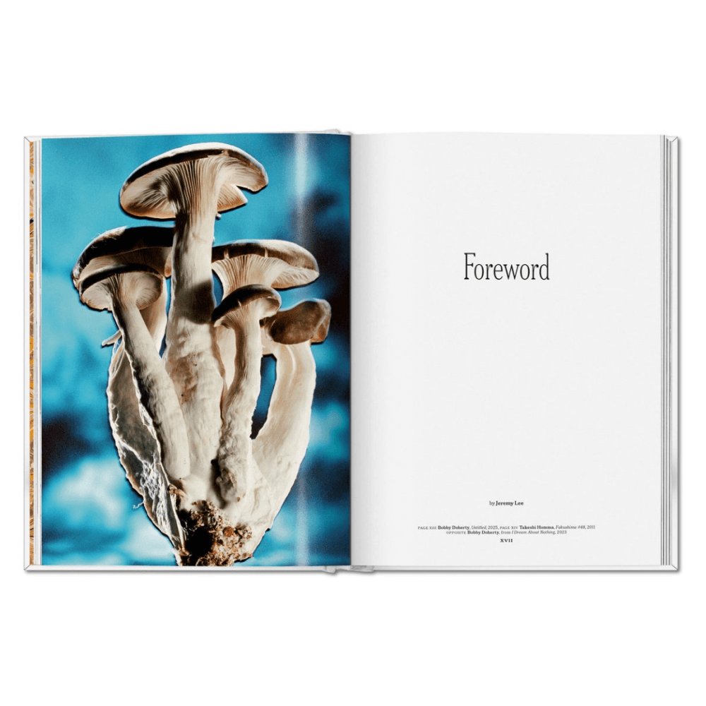 The Gourmand's Mushroom: A Collection of Stories & Recipes