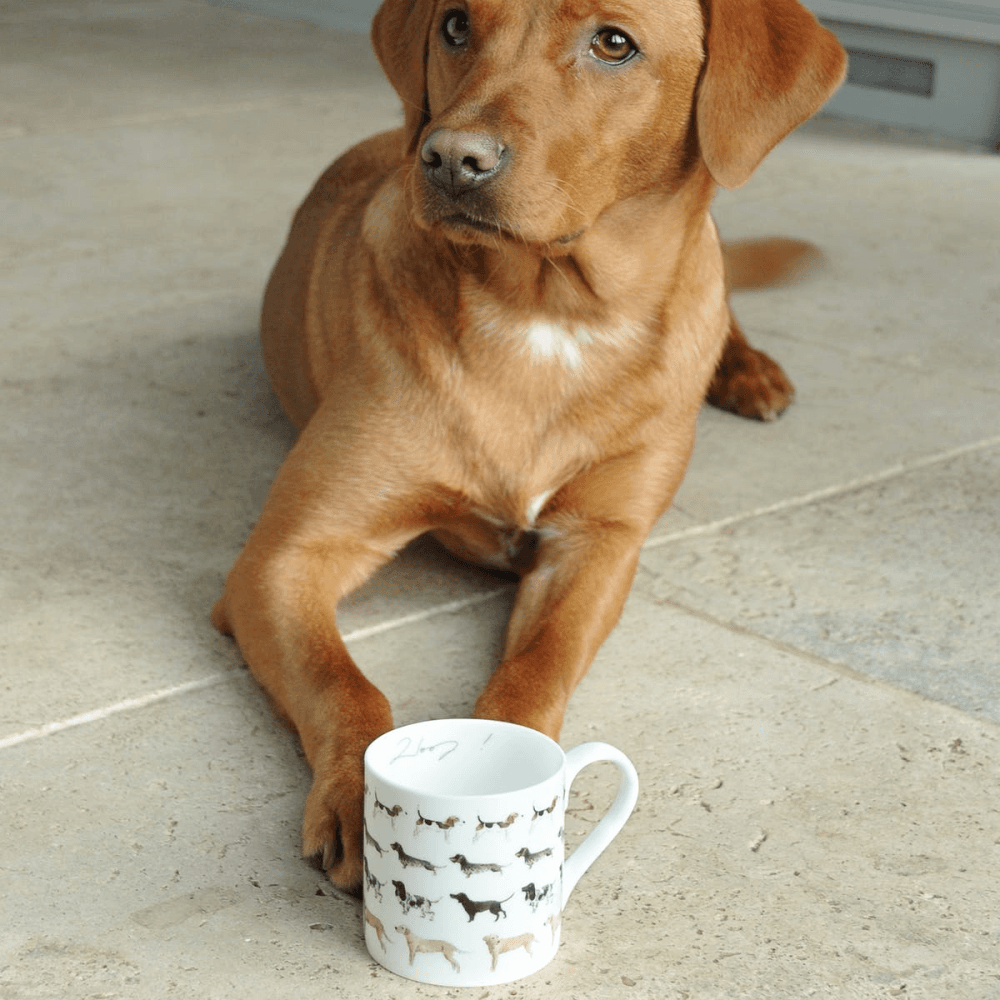 Woof! Mug