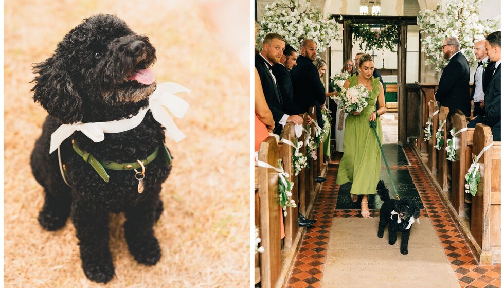 Whimsical Tuscan-Inspired Wedding in Hampshire | Black cockapoo dog with bow, walking down the wedding aisle