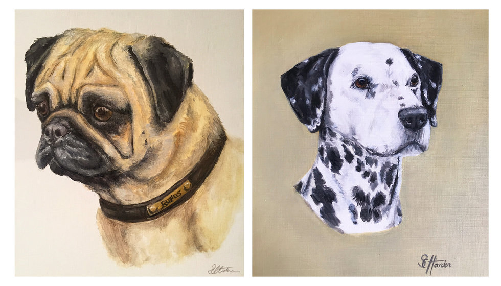 Two of Sophie's commissioned artwork of a pug and a labrador. 