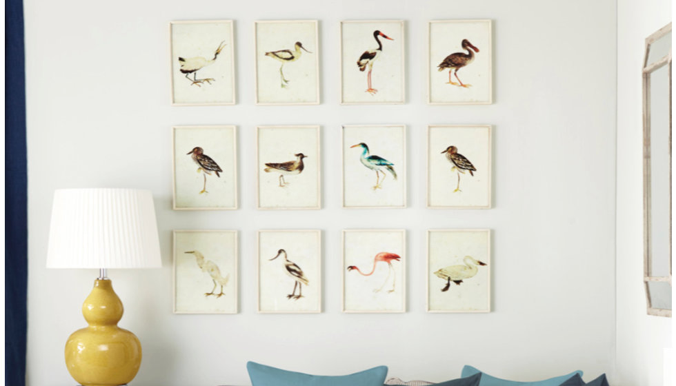 A wall of framed bird prints by OKA.