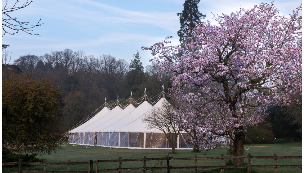 A marquee in Spring. The marquee positioned next to a beautiful blossoming tree. 