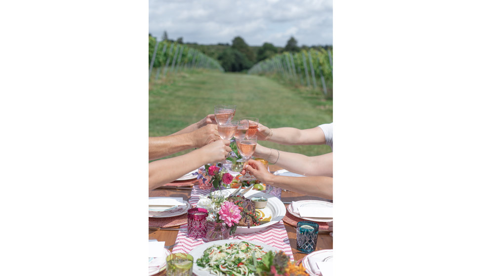 Hands clinking wine glasses filled with rosé at an alfresco table in a vineyard.