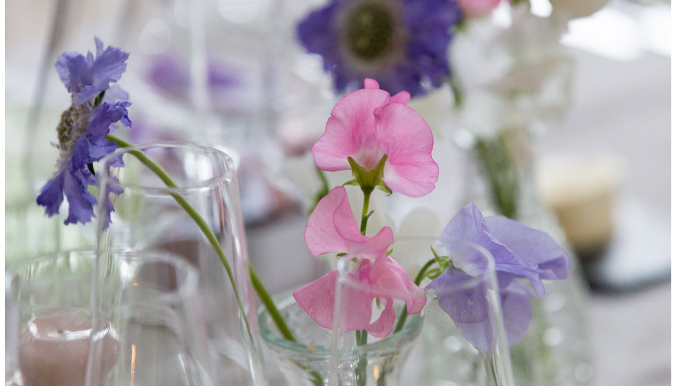Sarah and Nico had pale pink and lilac sweet peas amongst their wedding flowers.